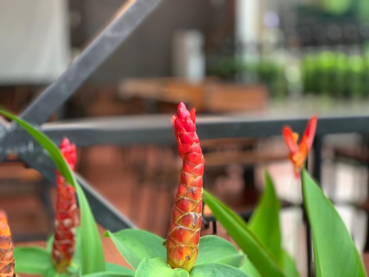 Greenspace Resort Phuquoc Фу Куок Екстериор снимка